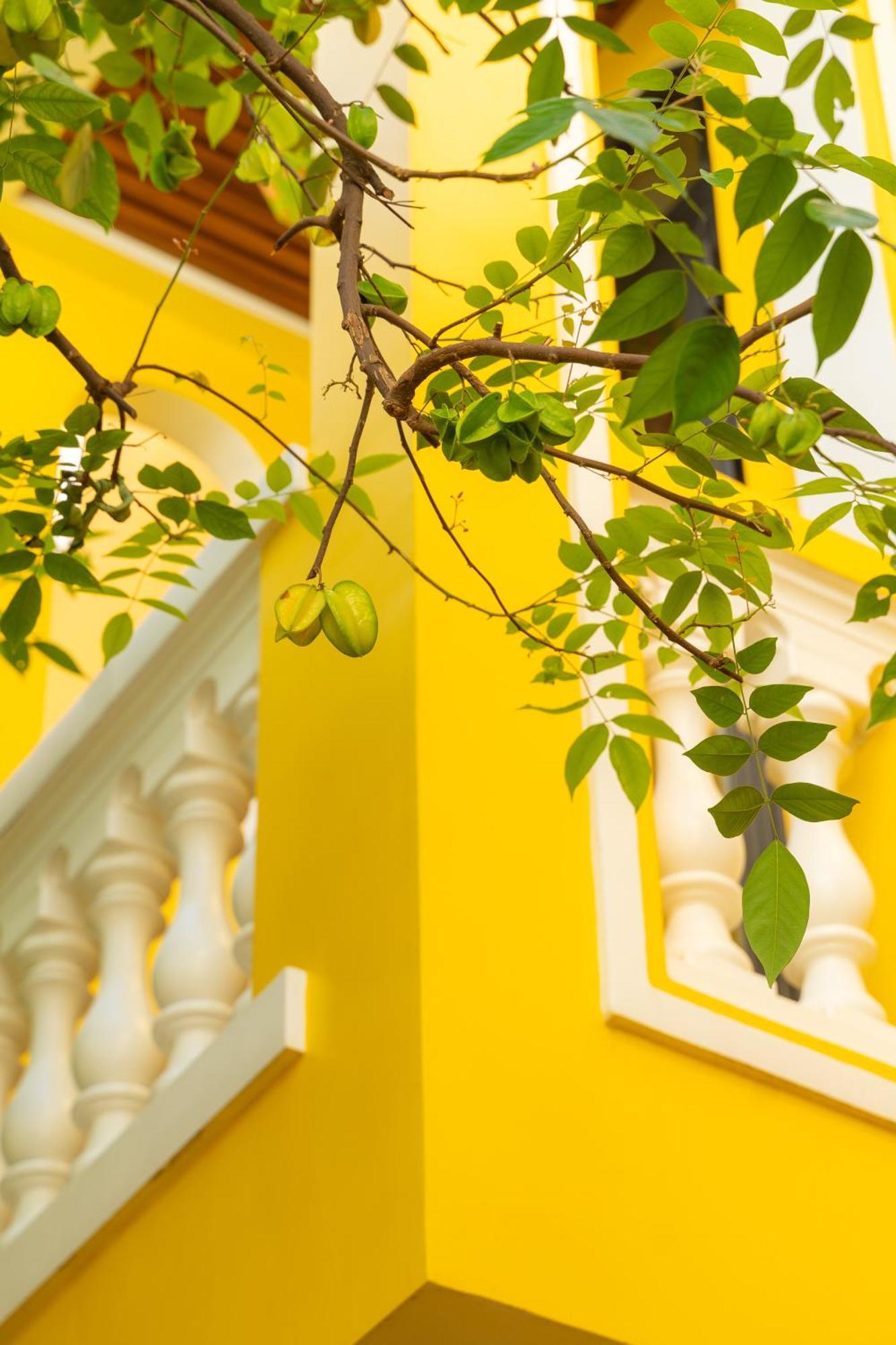 Quyen'S House Homestay 会安 外观 照片